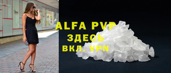 прущие грибы Михайловка