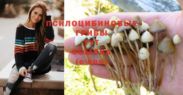 марки nbome Надым