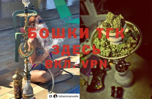 сатива Нефтекумск