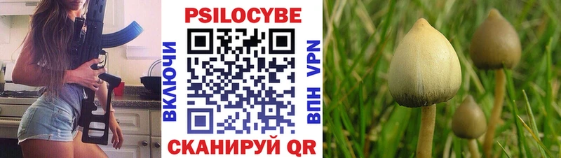 Псилоцибиновые грибы Psilocybe  купить наркотик  Рассказово 