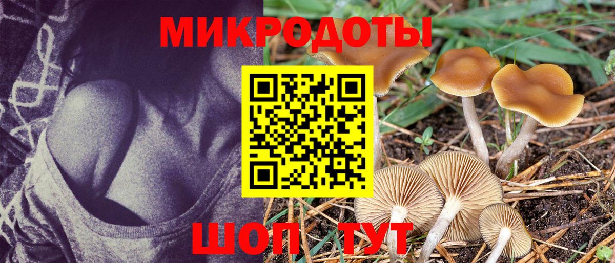 Псилоцибиновые грибы прущие грибы Рассказово